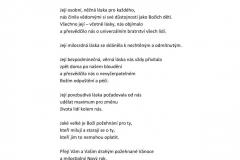 2016_12_20-CJ-MercinaPrema-II